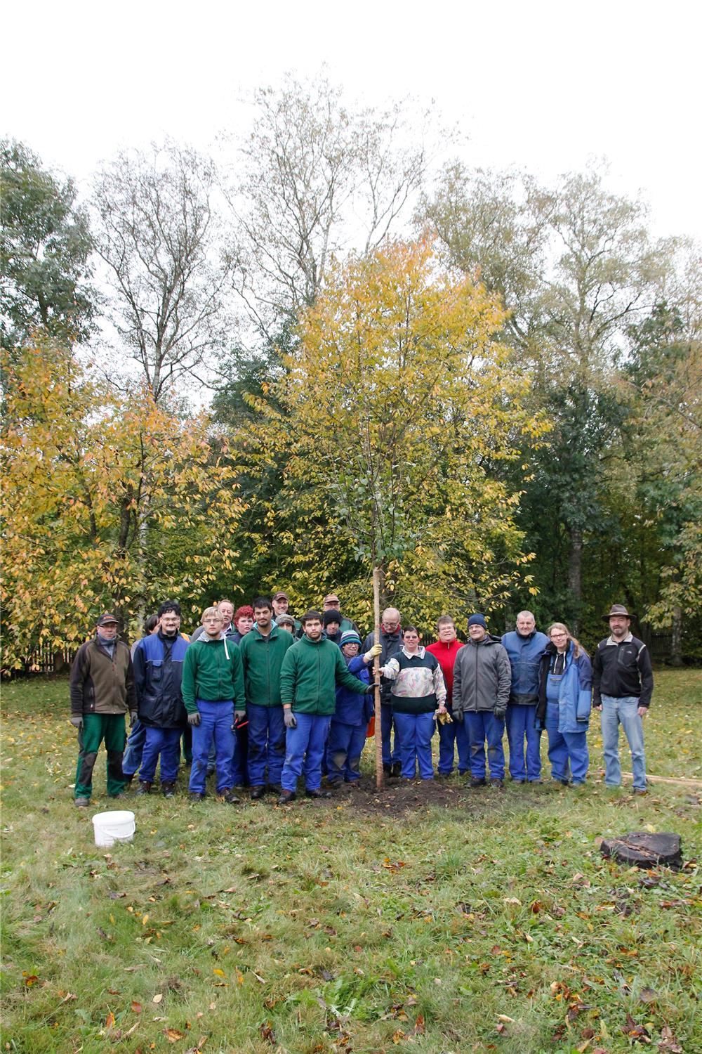 Ein neuer Baum, die 'Köstliche von Charnen', ziert nunmehr den Obstgarten der Albertus-Magnus Werkstätten in Gundelfingen.