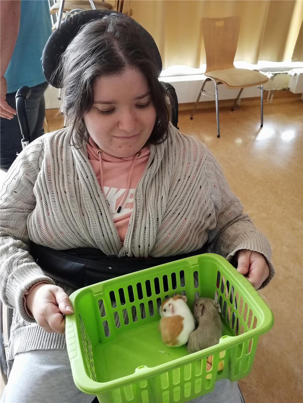 Streichelzoo Haus St. Martin