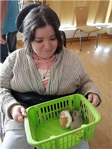 Streichelzoo Haus St. Martin Streichelzoo Haus St. Martin