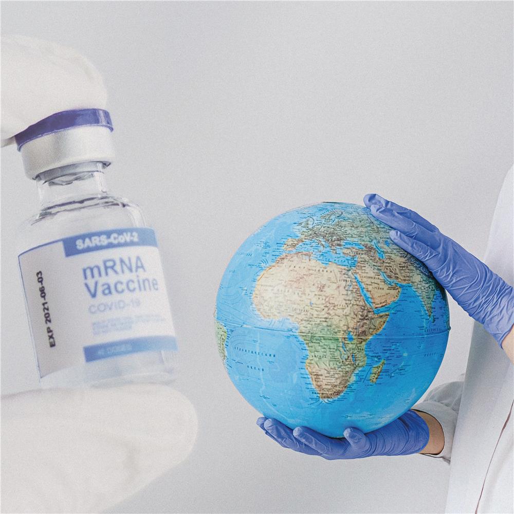 Das Foto eigt eine lange Reihe von Fläschchen mit Impfstoff.