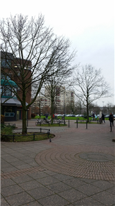 Parkanlage in Plattenbausiedlung Eine Parkanlage innerhalb einer Plattenbausiedlung in Köln-Chorweiler