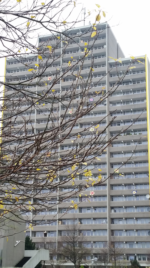 Die Aufnahme eines Plattenbaus im Stadtteil Köln-Chorweiler, bei der das Gebäude durch die Äste eines Baums teilweise verdeckt wird