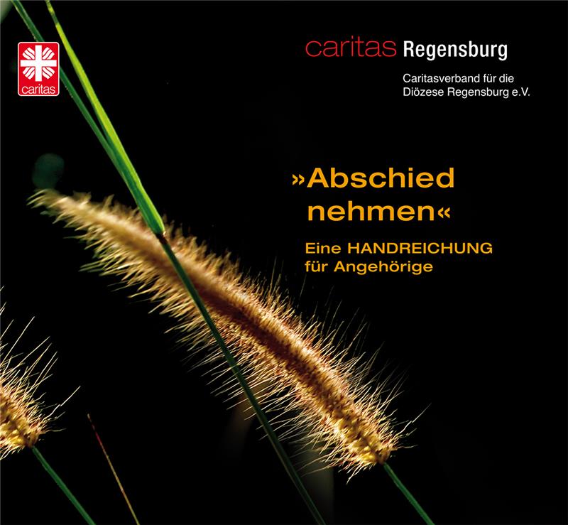 Die Handreichung für Angehörige Sterbender des Diözesan-Caritasverbandes Regensburg ist gerade erst in der zweiten Auflage erschienen. Sie gibt auf 30 Seiten ganz praktische und realitätsnahe Hilfestellungen, die Angehörige und Begleiter im Sterbeprozess im Blick haben. Gegen eine Schutzgebühr von zwei Euro pro Heft kann diese per Mail bestellt werden: presse@caritas-regensburg.de 