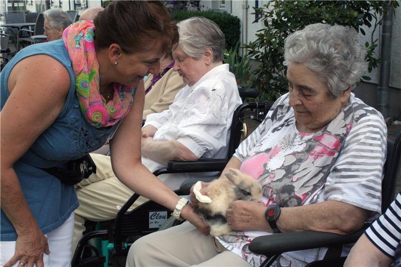 2014-08 AZ Arzbach Streichelzoo Kaninchen