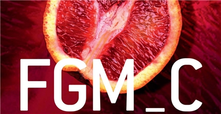 FGM_C Eine halbierte Blutorange auf rotem Hintergrund mit der Aufschrift: FGM_C