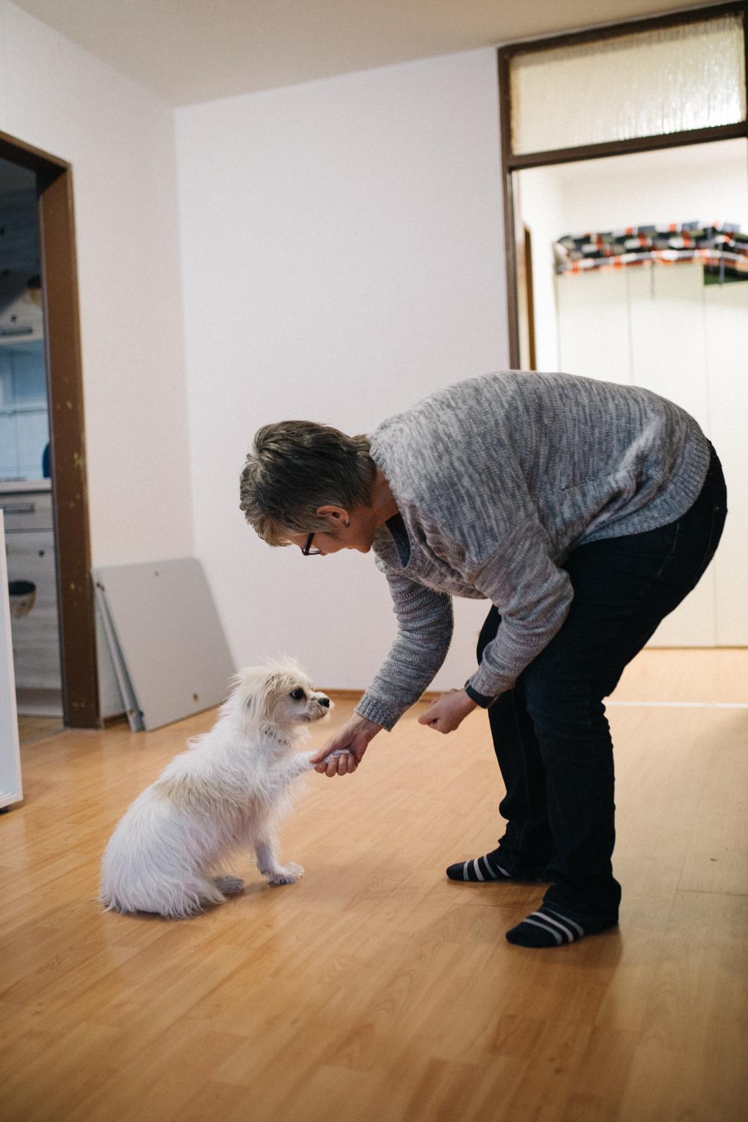 Frau streichelt kleinen weißen Hund
