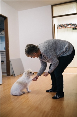 Sozial braucht Digital Frau streichelt kleinen weißen Hund