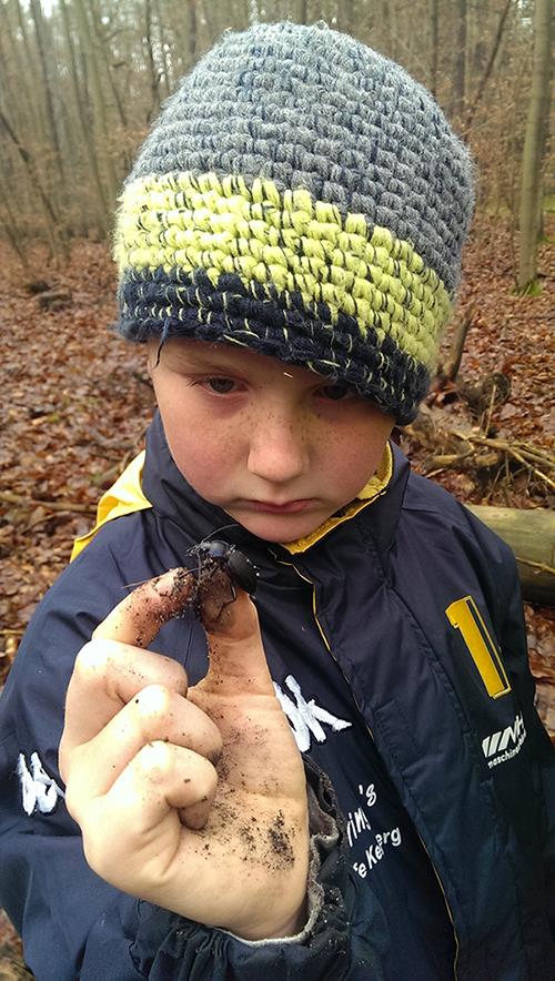 Ein Junge hat einen Käfer in der Hand.