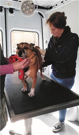 Tierarztmobil Hannover 2 Tierarztmobil Hannover 2