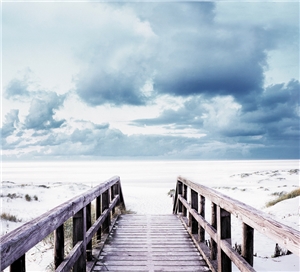 Sterben in Würde und mit bestmöglicher Lebensqualität Sterben in Würde und mit bestmöglicher Lebensqualität