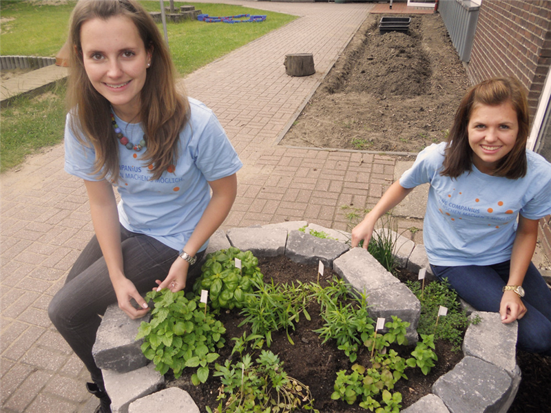 Freude im Regenbogenland
