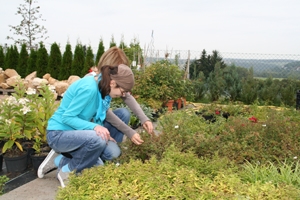 Gartenarbeit Wir sehen zwei Frauen die im Garten arbeiten.