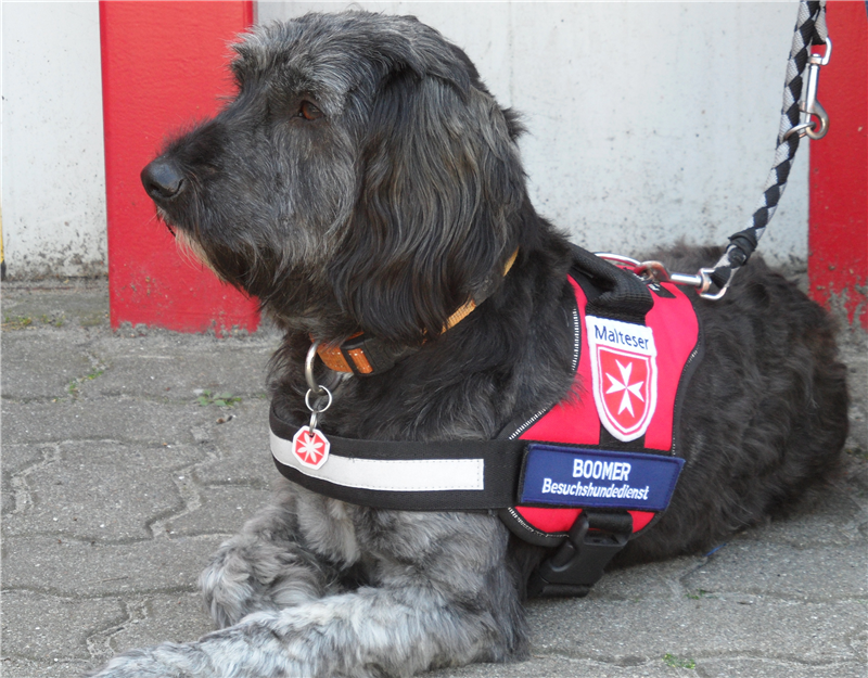 Die Malteser Besuchs- und Begleitungsdienste