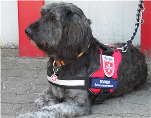 Die Malteser Besuchs- und Begleitungsdienste Die Malteser Besuchs- und Begleitungsdienste