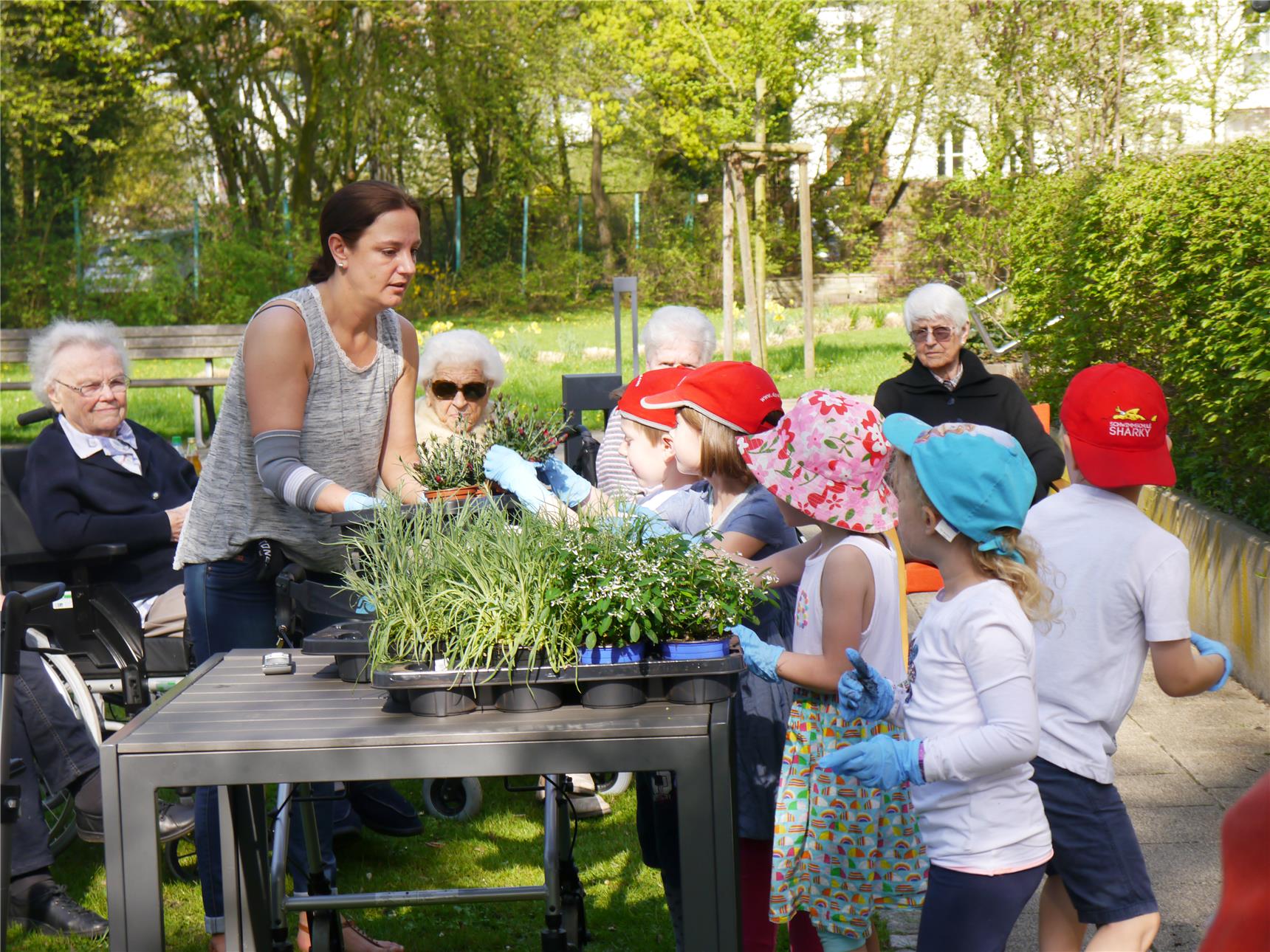 Kinder und Senioren bepflanzen das Hochbeet