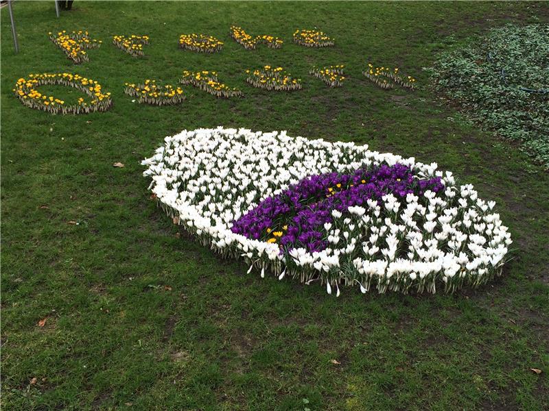 Die Caritas Bremen wünscht frohe Ostern
