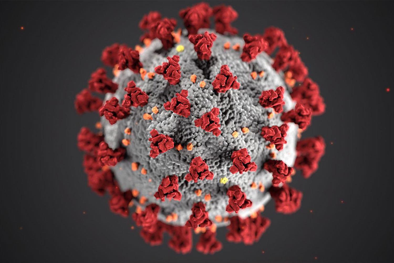 Corona-Virus in Nahansicht