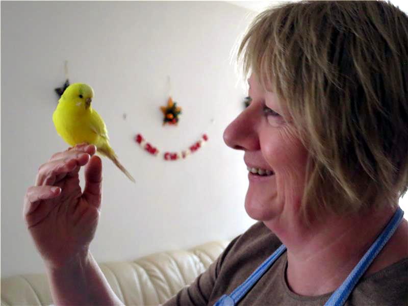 Dorfhelferin mit Wellensittich