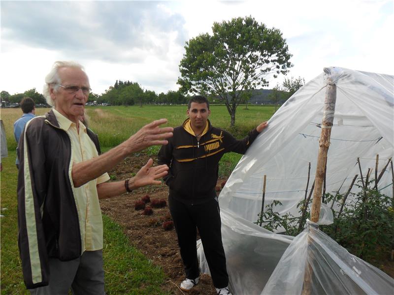 Ein Ehrenamtlicher und ein syrischer Flüchtling stehen auf einem Feld vor einem Tomatenbeet