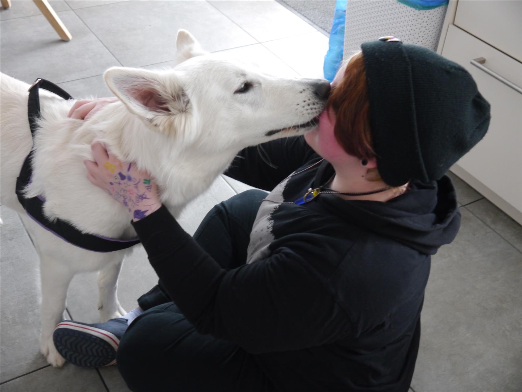 Das Foto zeigt einen Jungen, der mit einem weißen Hund spielt.