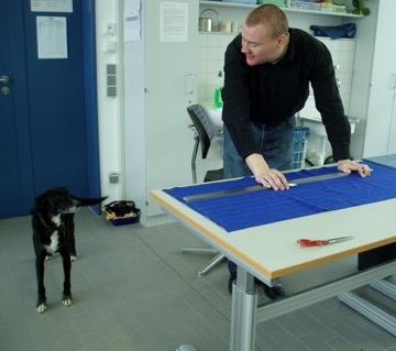 Wir befinden uns in der Werkstatt. Ein Mitarbeiter beugt sich über einen Tisch und schaut auf den danebenstehenden Hund  